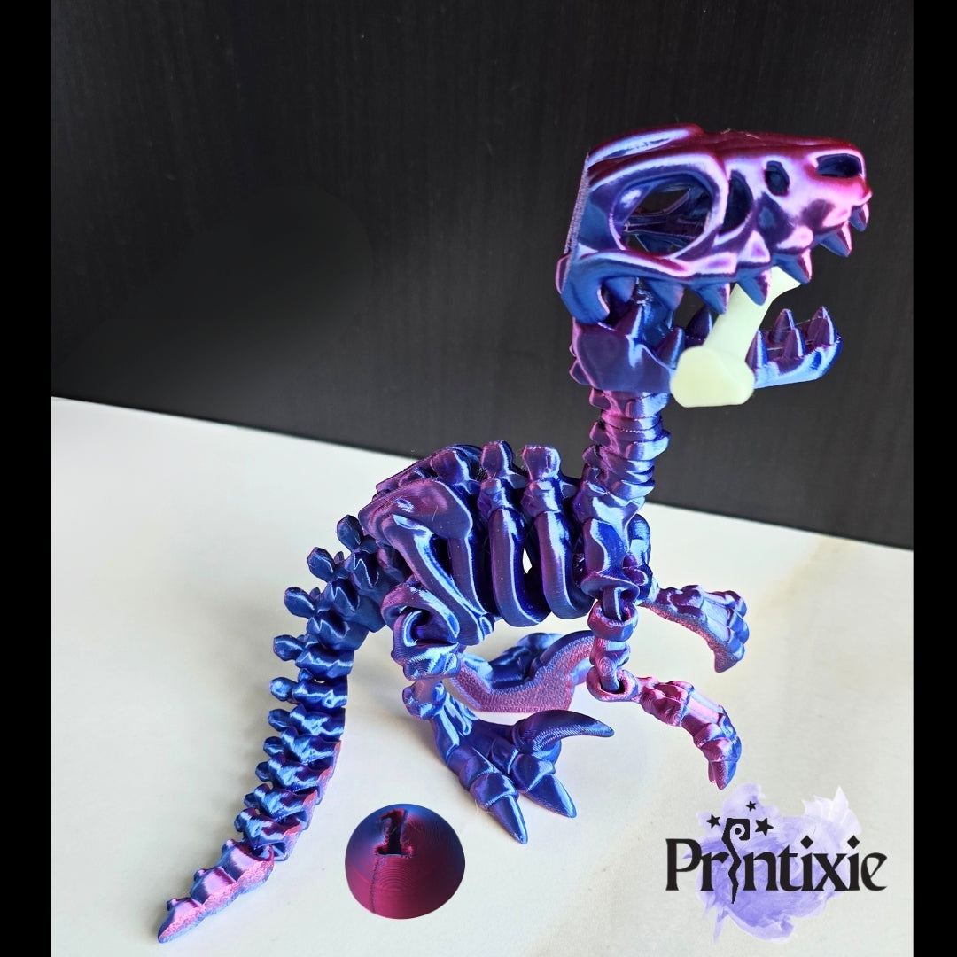 Raptor Skeleton