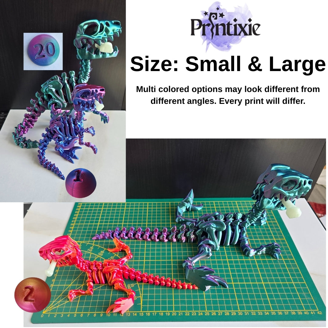 Raptor 2 size options