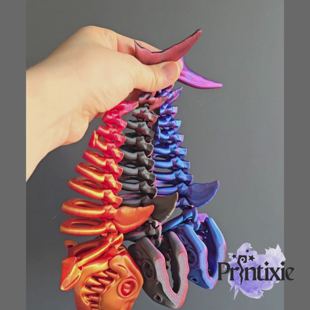 Shark Skeleton by Printixie