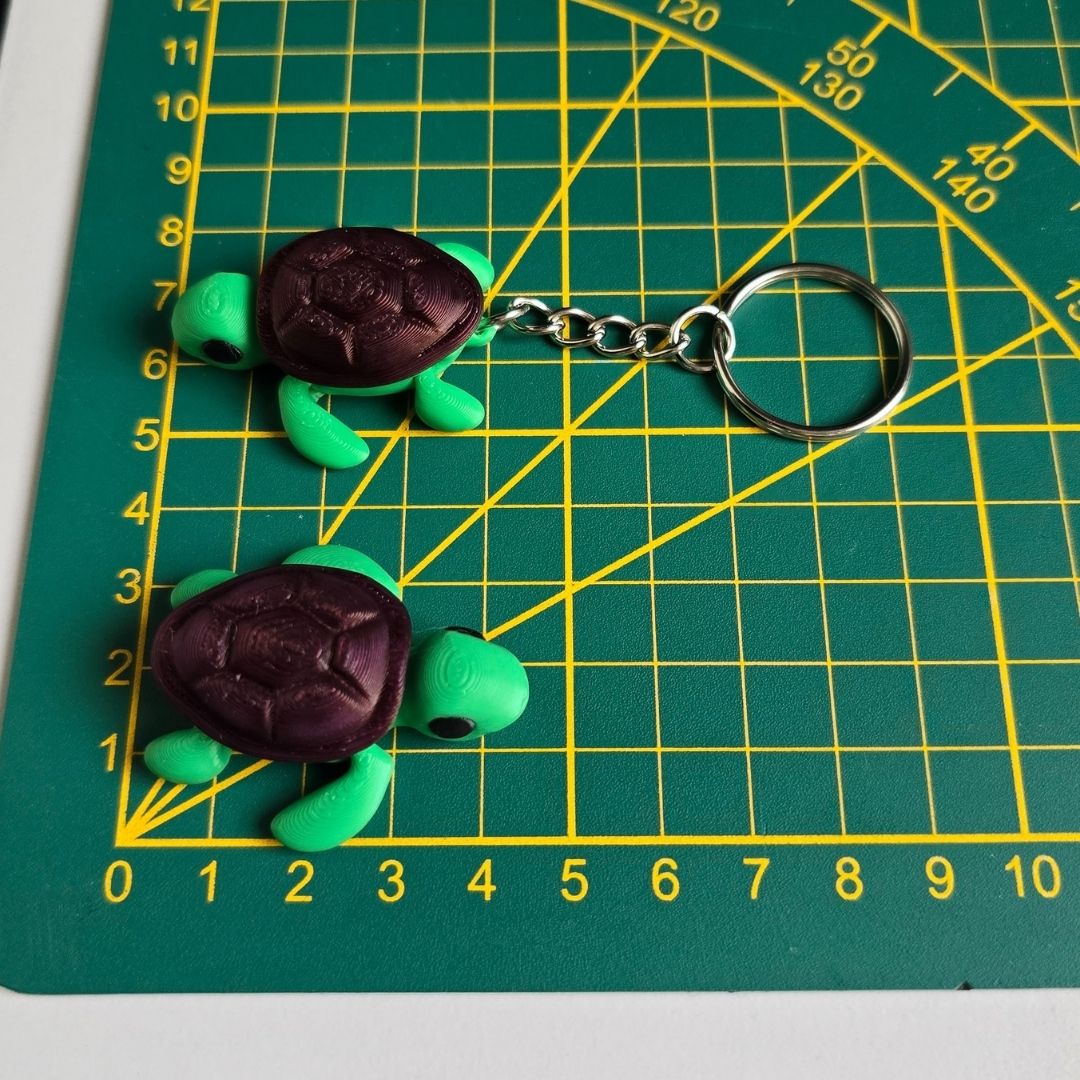 Tiny Turtle & Keychain