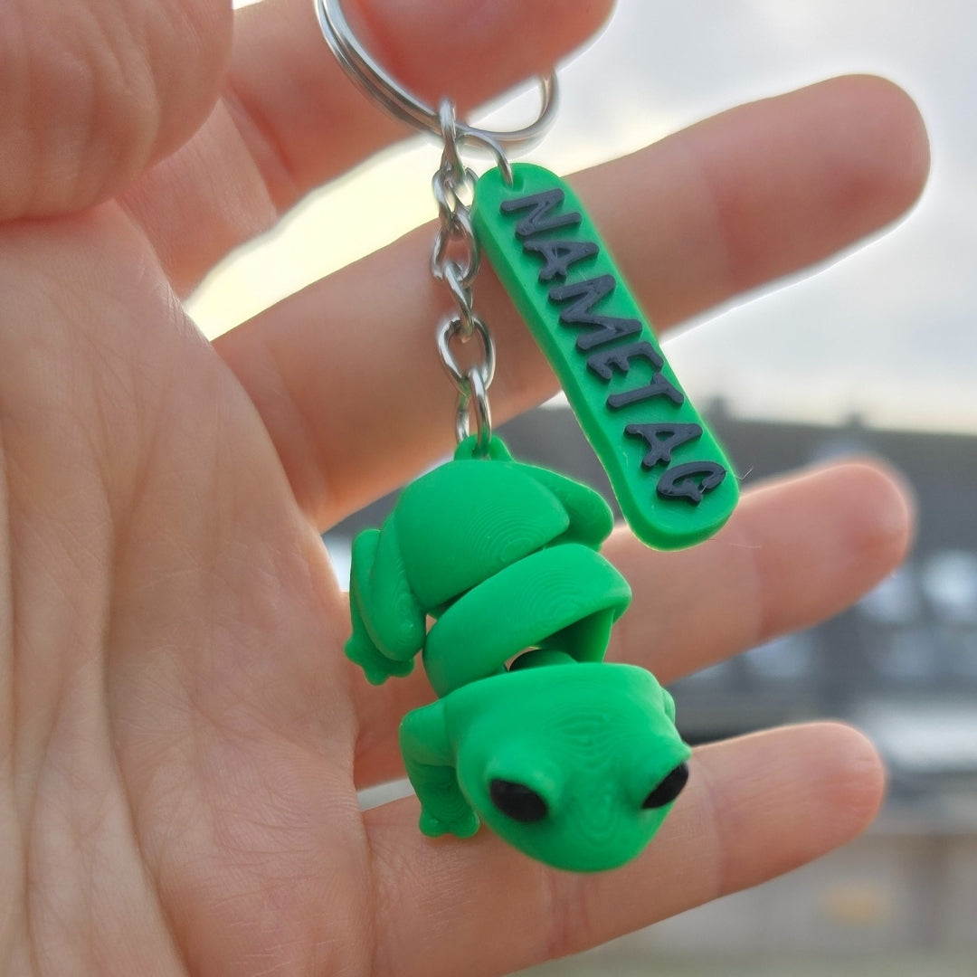 Tiny Frog & Keychain