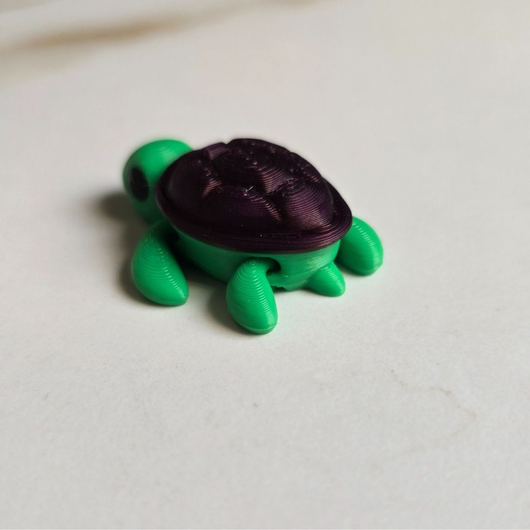 Tiny Turtle & Keychain