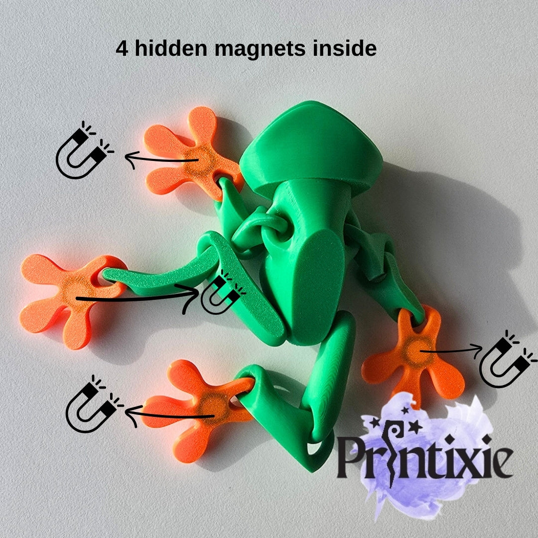 Flexible Frog Magnet