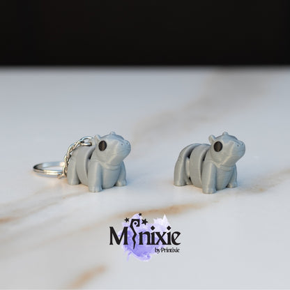 Hippo minixie and keychain
