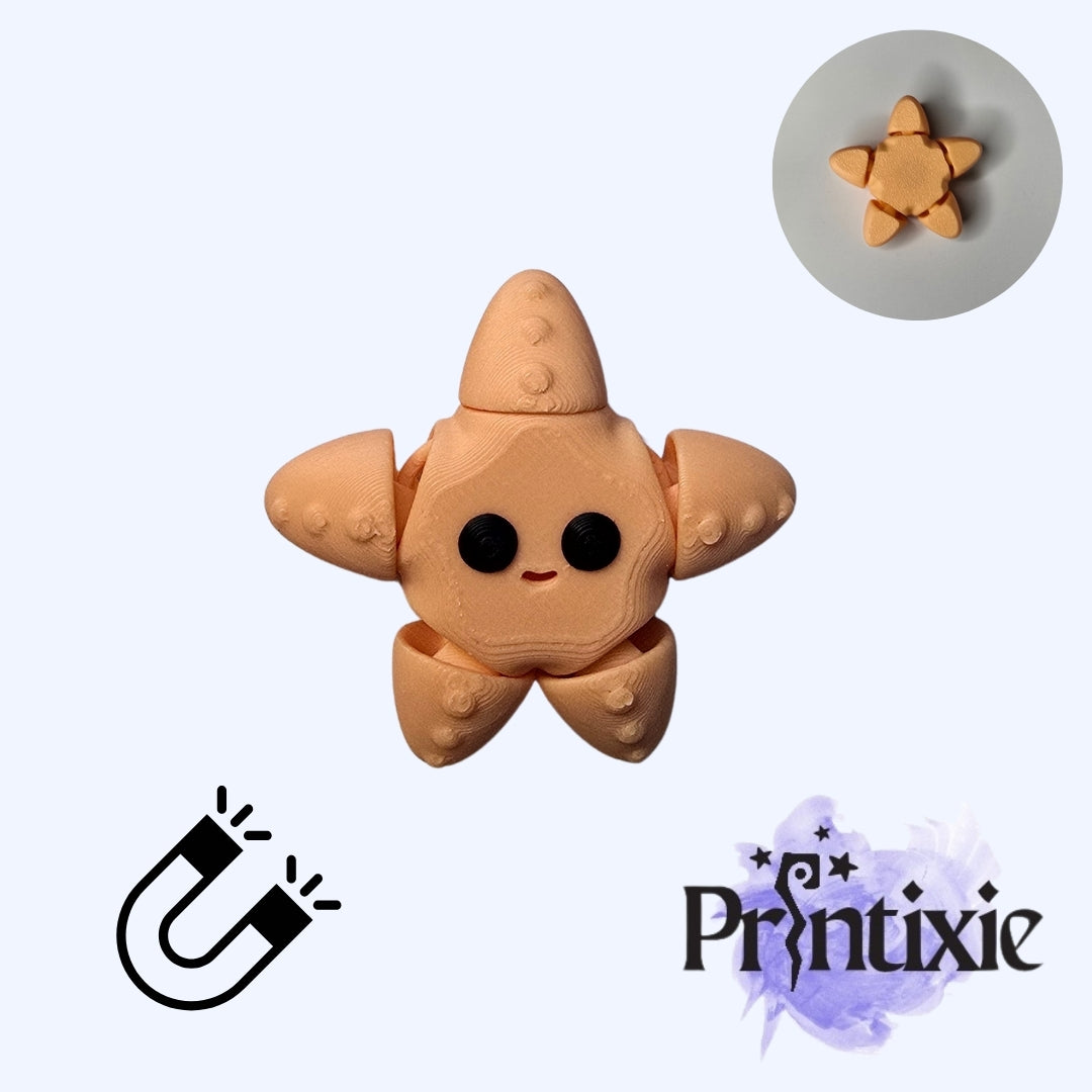 Magnet Seastar Minixie