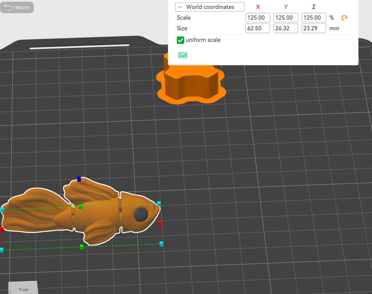 guppy fish custom order